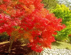 杩呮嵎鏃犵嚎缃戝崱椹卞姩