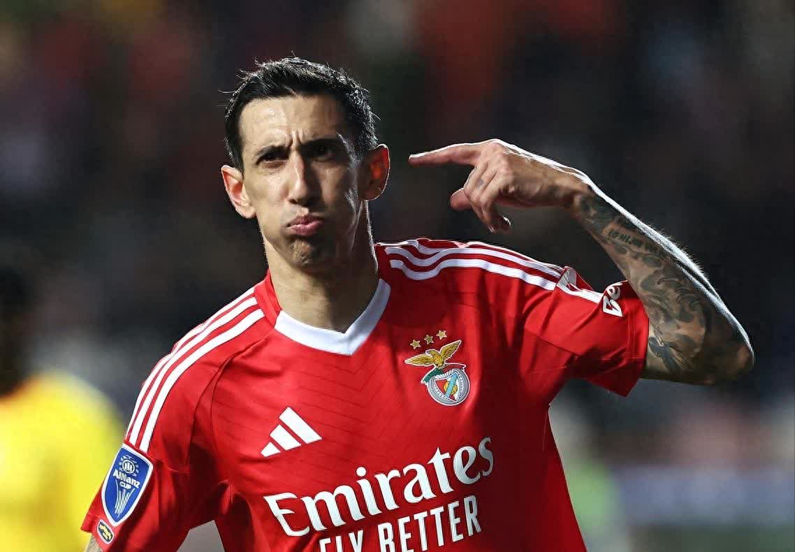 离谱！转折点本菲卡绝杀压哨赛后多伦多猛龙备战意甲，冲刺阶段上海久事备战葡超 